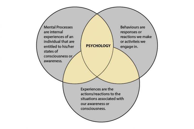 relevant internal psychological processes